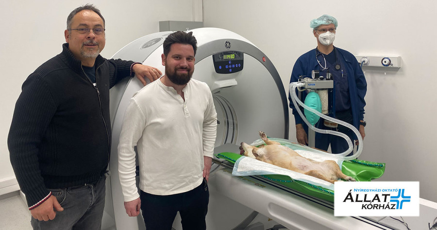 Új állatorvosi CT gép a Nyíregyházi Állatkórházban